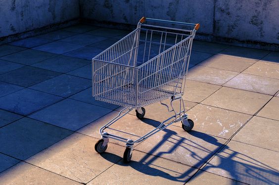 Baby Shopping Cart