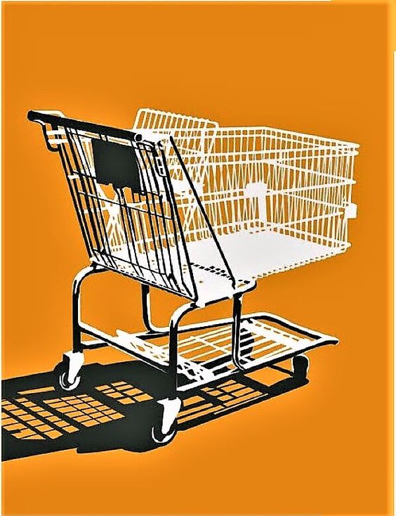 Baby Shopping Cart